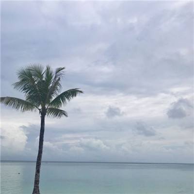 网易王牌猎手公测版下载